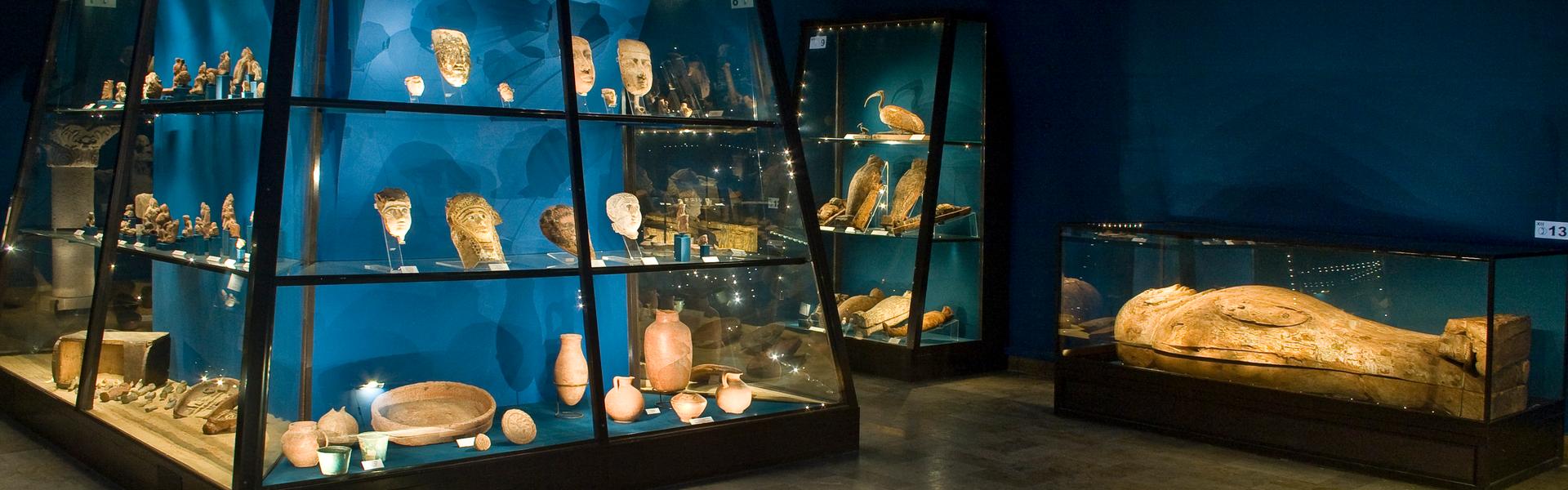 Illuminated display cases with Egyptian exhibits.