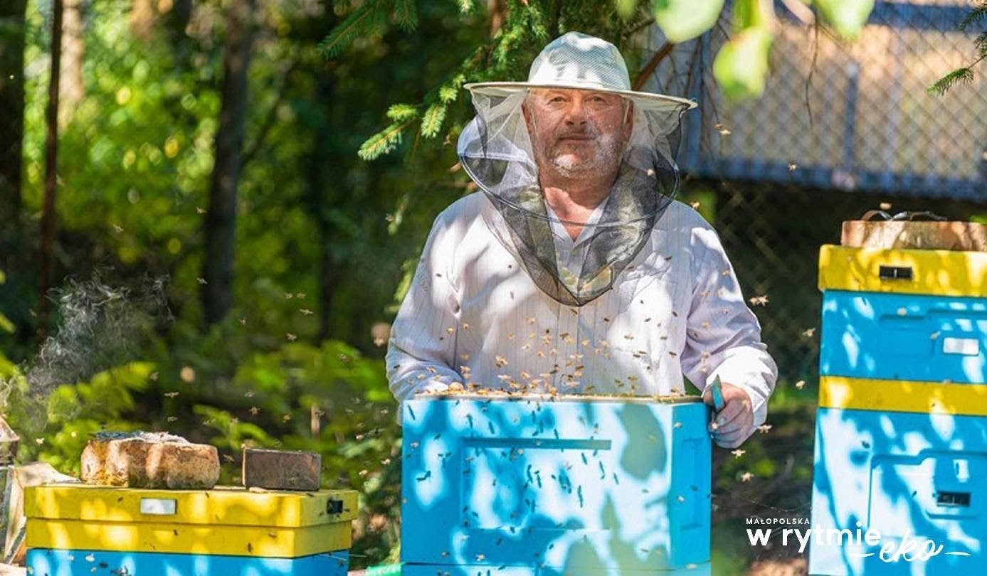 mężczyzna przy ulu z pszczołami