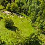 Obrázok: Szlakiem pasterzy – z dziećmi naturalnie!