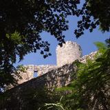 Wieża zamku w rezerwacie Lipowiec wyłaniająca się z liści drzew.