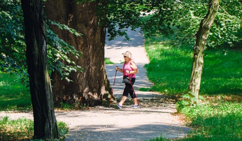 kobieta spacerująca z kijami wśród drzew