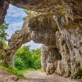 Image:  La grotte du Mammouth