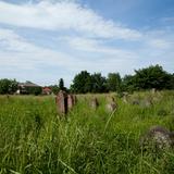 Bild: Der Judenfriedhof in Żabno