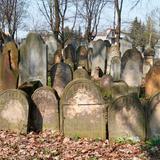 Bild: Der Judenfriedhof in Bochnia