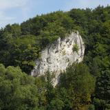 Bild: Wasserfall Dolina Sąspowska