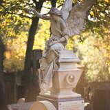 Изображение: Городское кладбище в Бохне