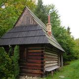 Mały drewniany domek budowany na zrąb, kryty spadzistym dachem, pośród zielonych drzew.