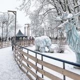 Изображение: Lodowisko Ice Park Kraków