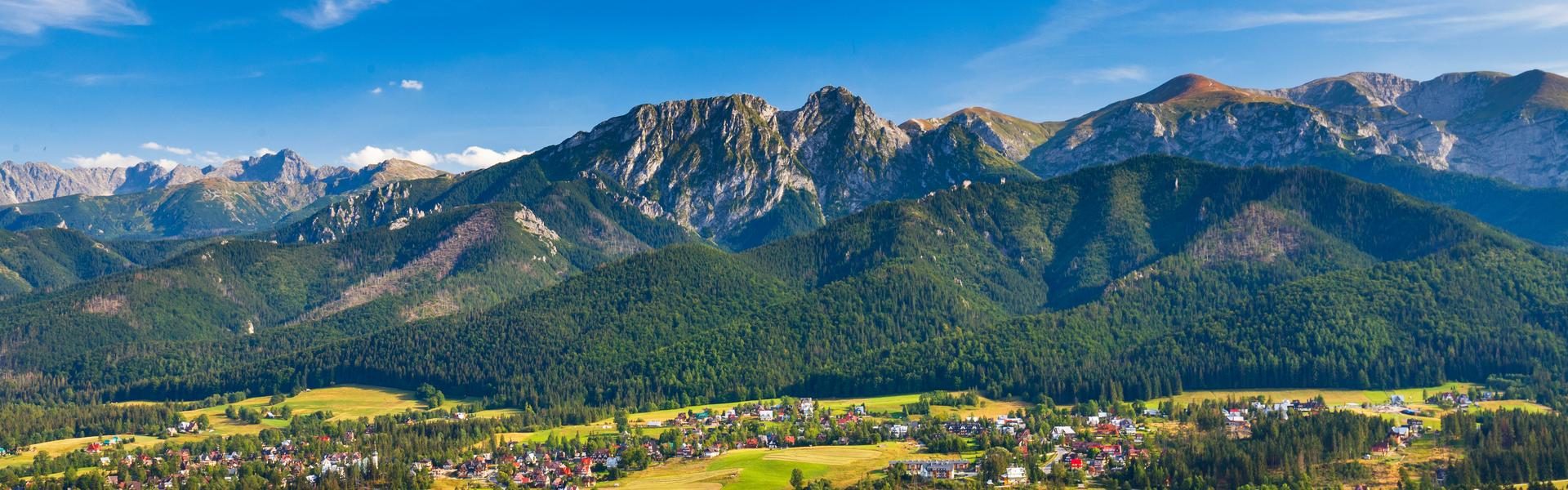 View of Zakopane and the Tatra Mountains from Gubałówka