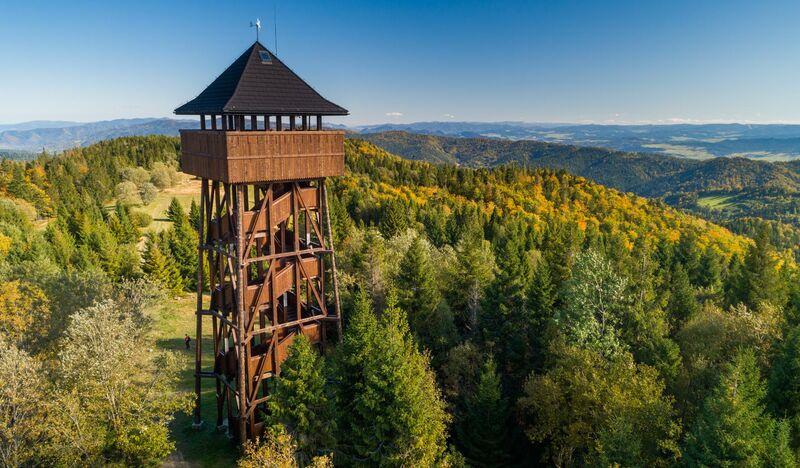 Drewniana wieża widokowa na szczycie góry, otoczona lasem.