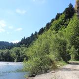 Droga na Sokolicę pośród drzew i skał z widokiem na rzekę Dunajec.
