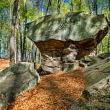 Kamień w formie grzyba sprzed 60 milionów lat w Rezerwacie Przyrody Kamień-Grzyb.