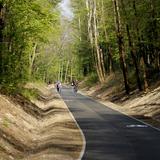 Imagen: Ruta ciclista «Por el recorrido del ferrocarril de vía estrecha» en el Municipio de Miechów