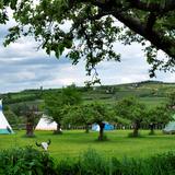 Kolorowe indiańskie namioty rozstawione na zielonej łące wśród drzew, w tle pagórki