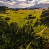 Widziane z góry zielone tereny Orawy porośnięte lasem i łąką
