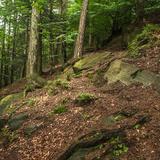 Skały zlokalizowane w kompleksie leśnym w Rezerwacie przyrody Diable Skały w Bukowcu.