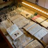 Dokumenty i pamiątki wystawione w podświetlonej gablocie muzealnej.