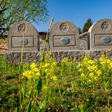 Bild: Soldatenfriedhof Nr. 293 in Zakliczyn