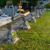 Obrazek: Cmentarz wojenny numer 366 Limanowa