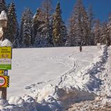 Na zasypanej śniegiem polanie stoi drewniany słupek z kilkoma tabliczkami z napisami, m.in. koniec trasy.