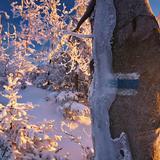 Immagine: Śnieżne Trasy przez Lasy Krzywa