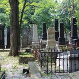 Zabytkowe macewy cmentarzu żydowskim w Tarnowie