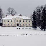 Pałac Leśniowskich w Ryglicach w scenerii zimowej w pochmurny dzień. Koło Pałacu jest kilka łysych, lekko ośnieżonych drzew.