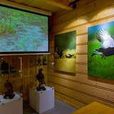 Sala muzealna z drewnianymi ścianami, na których powieszone są duże zdjęcia ptaków występujących w okolicy oraz ekran z wyświetlanym filmem, na podłodze szklane gabloty z wypchanymi ptakami.