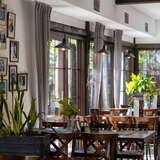 Eleganckie wnętrze restauracji, drewniane stoliki i krzesła, szare zasłony na dużych oknach, rośliny ozdobne w donicach