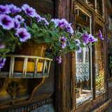 Okna w drewnianej ścianie willi,  pomiędzy nimi donice z kwiatami. W oknie zazdrostka.