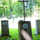 Imagen: Cementerio militar n.° 200 Tarnów