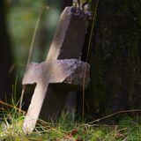Betonowy krzyż oparty o pień drzewa.