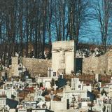Obrazek: Cmentarz wojenny numer 190 Janowice