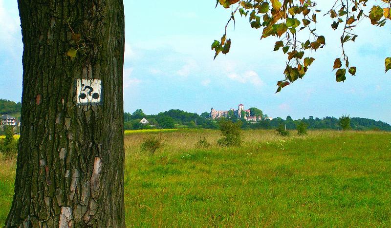 na pierwszym planie drzewo z oznakowaniem szlaku rowerowego w tle pola i zamek